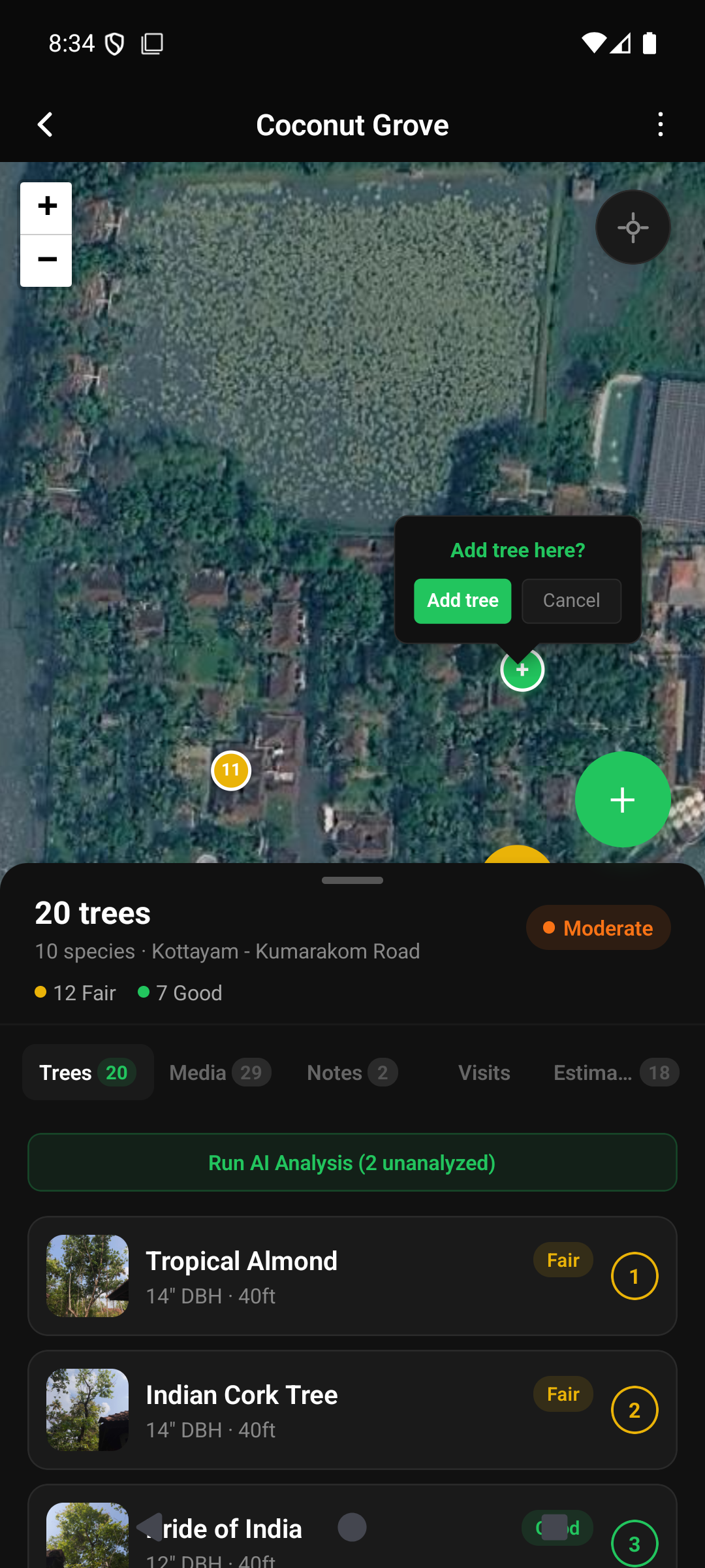 Tapping the property map shows an 'Add tree here?' prompt to place a tree without a photo